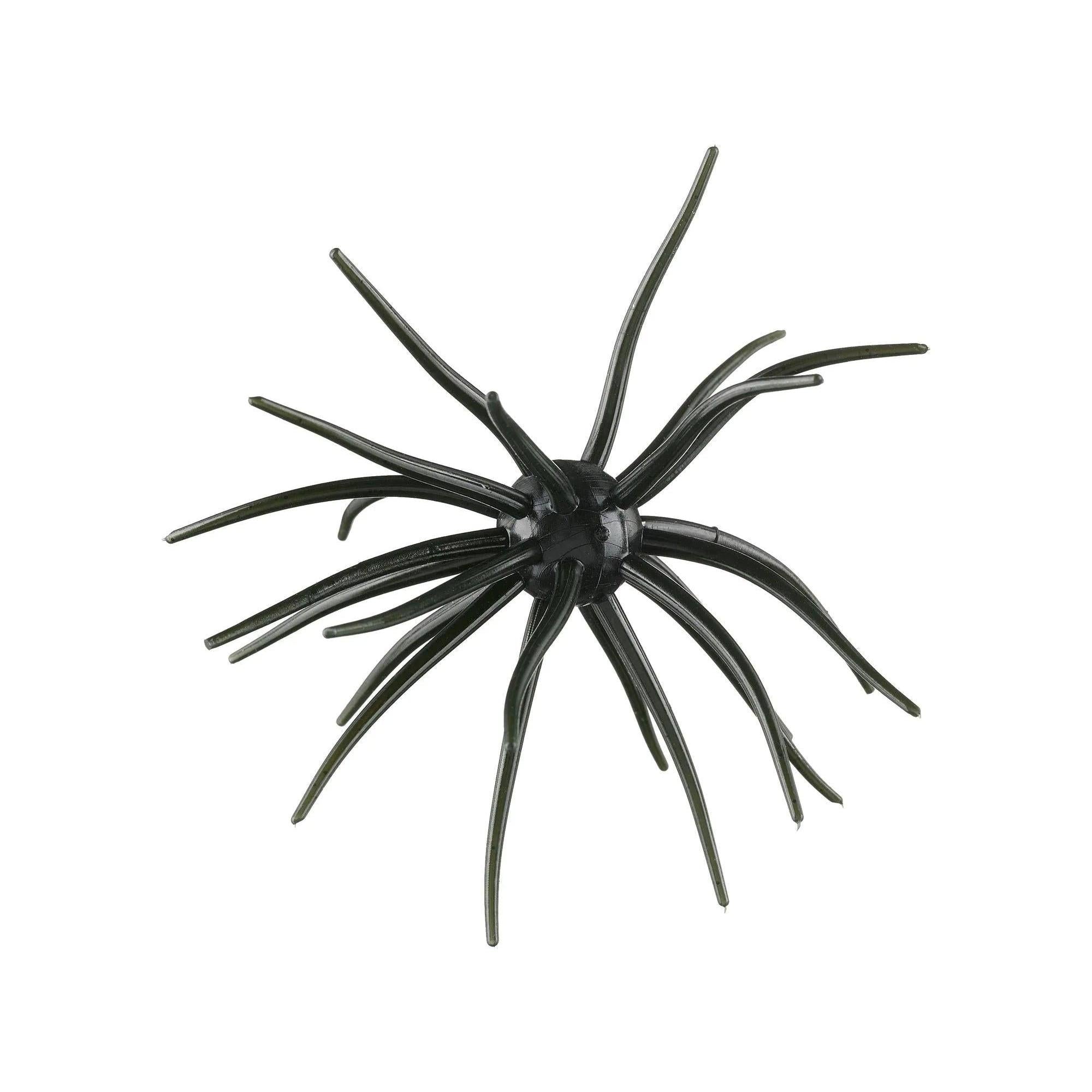 Hag's Prickly Pear 19mm Texas Tuxedo