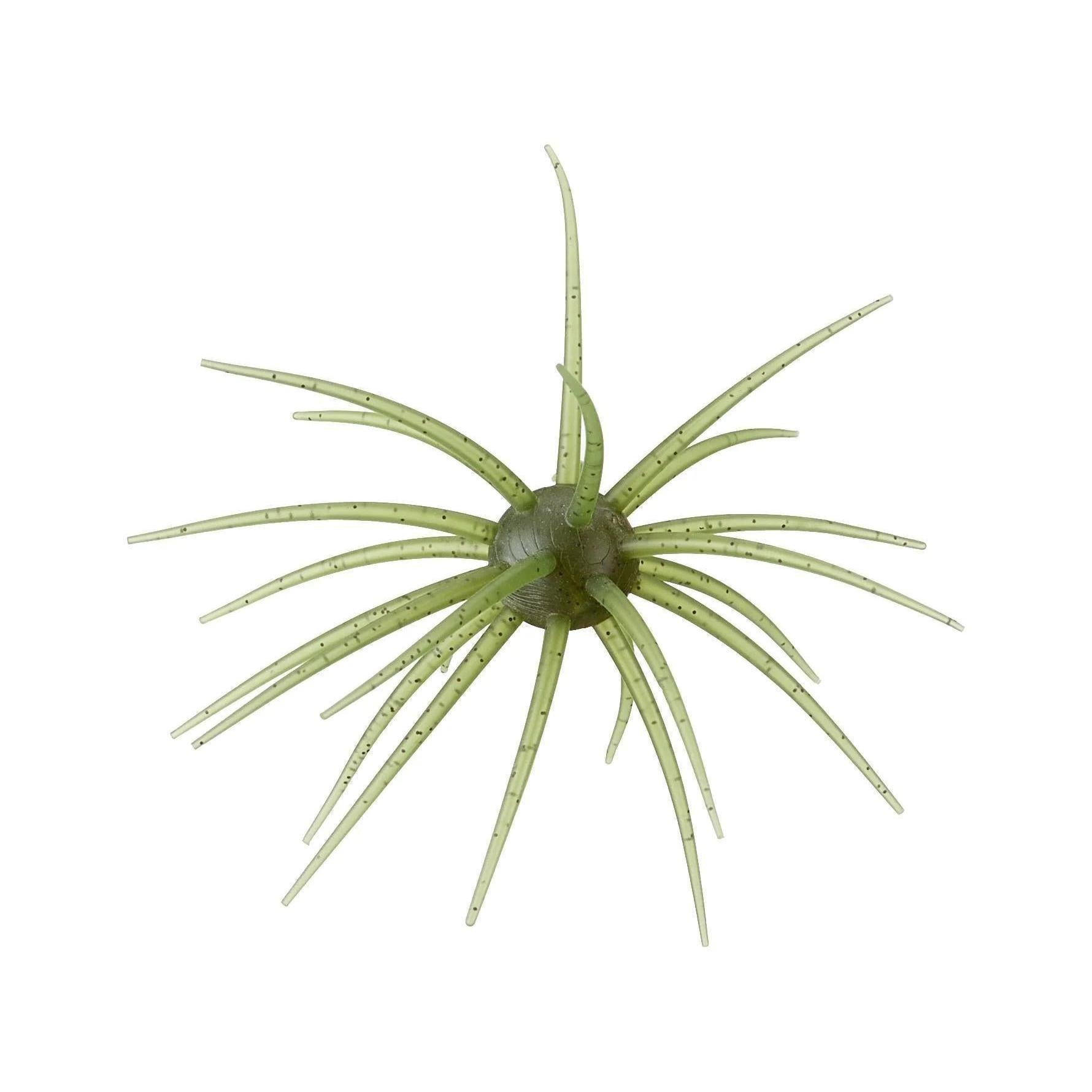 Hideup Coike 13mm Watermelon Seed #102 