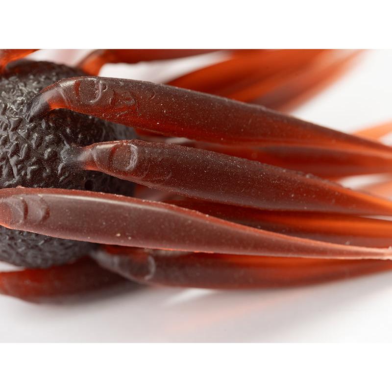 Hideup Coike Fish L-