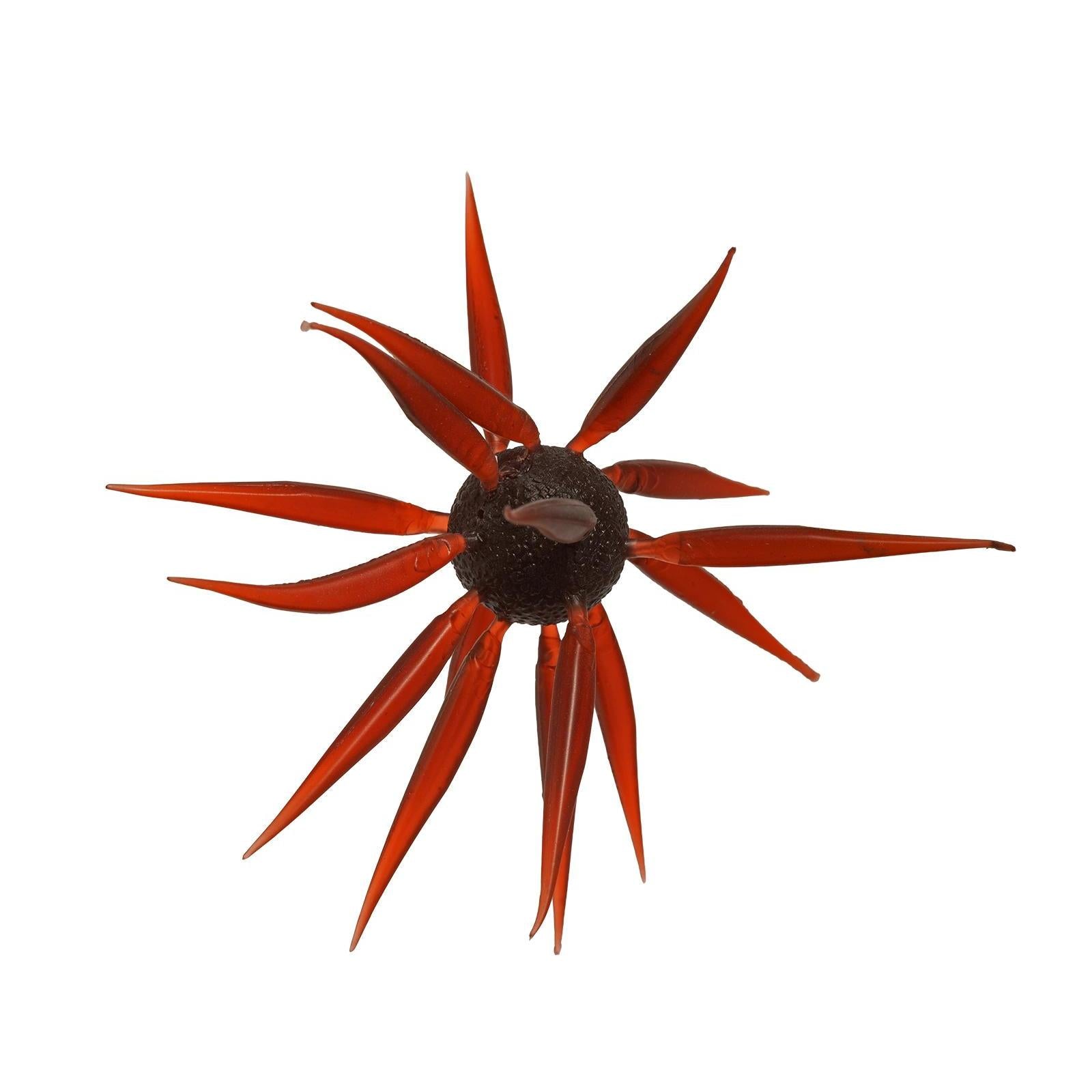 Hideup Coike Fish L-