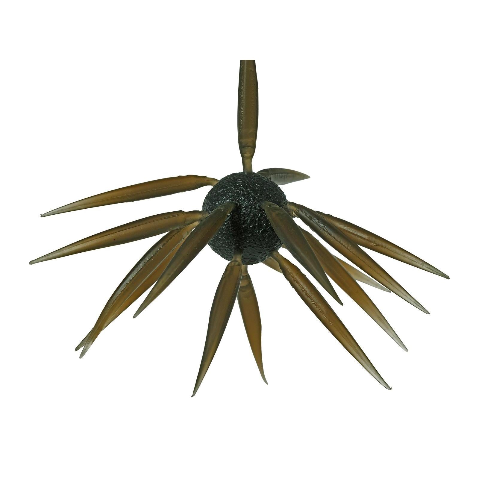 Hideup Coike Fish L-