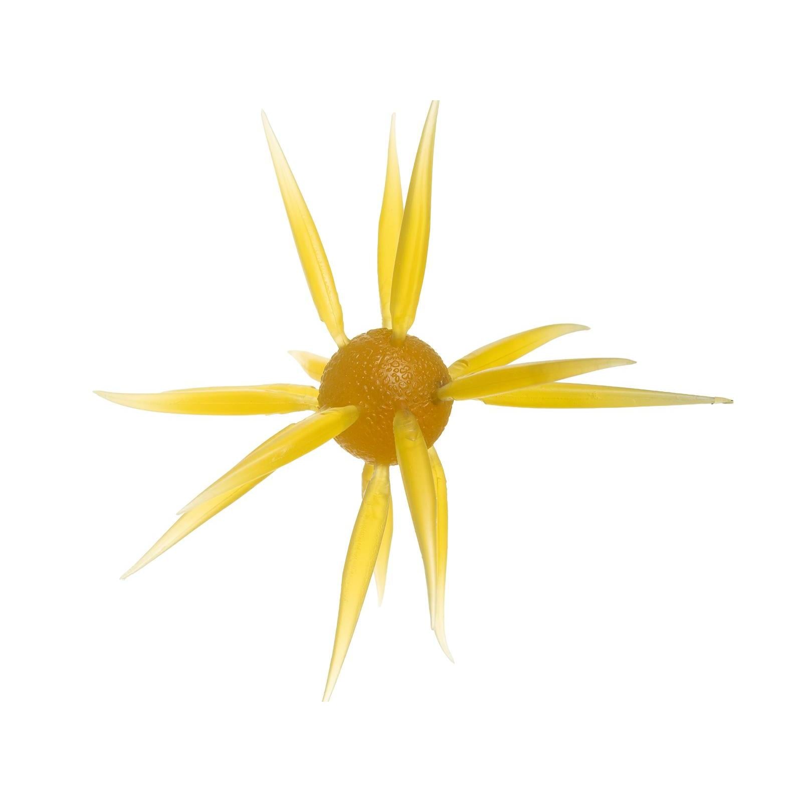 Hideup Coike Fish L-