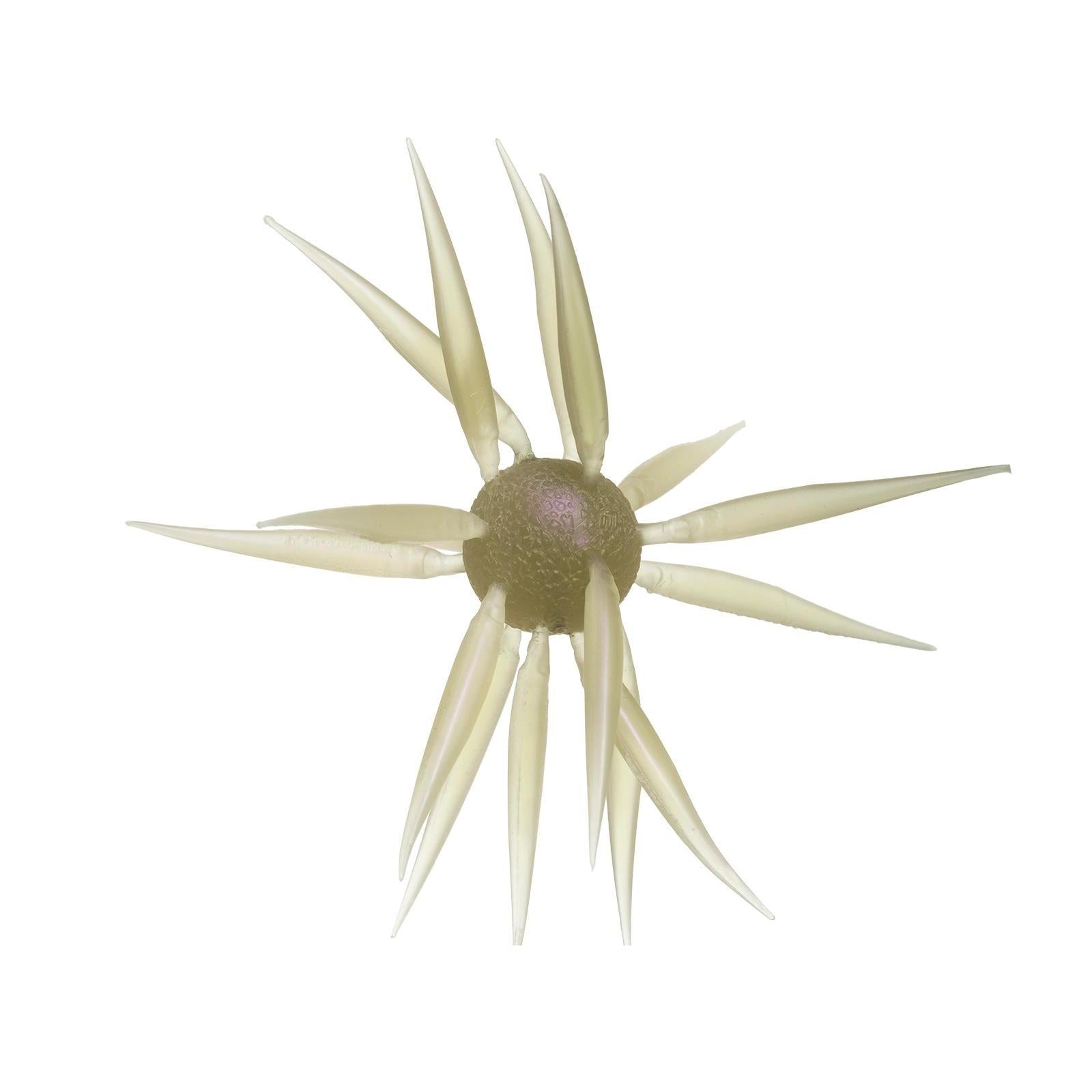 Hideup Coike Fish L-