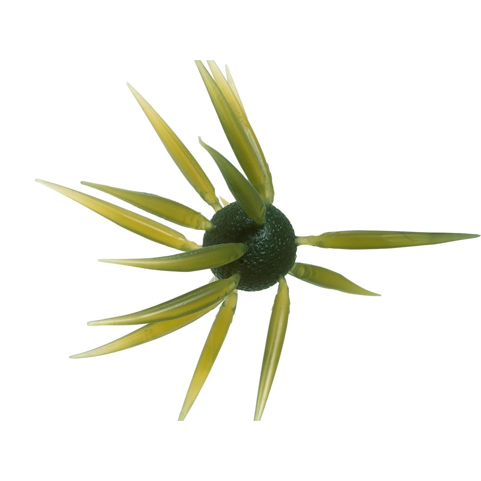 Hideup Coike Fish L-