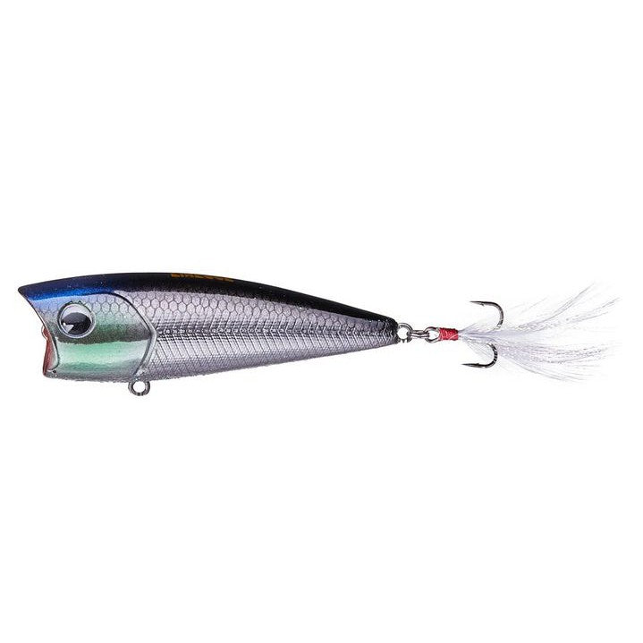 Ima Finesse Popper-Real Blue Head Black Back Ghost-