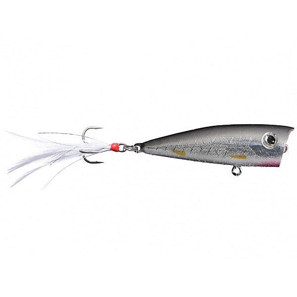 Lobina Ricos Popper-Absolute-Rico-