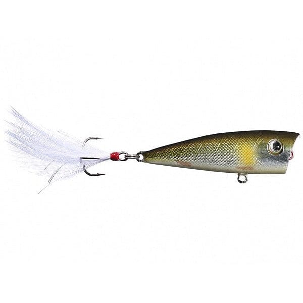 Lobina Ricos Popper-Cisco-Rico-