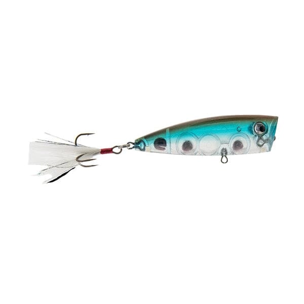 Lobina Ricos Popper-Dragon Fly-Rico-