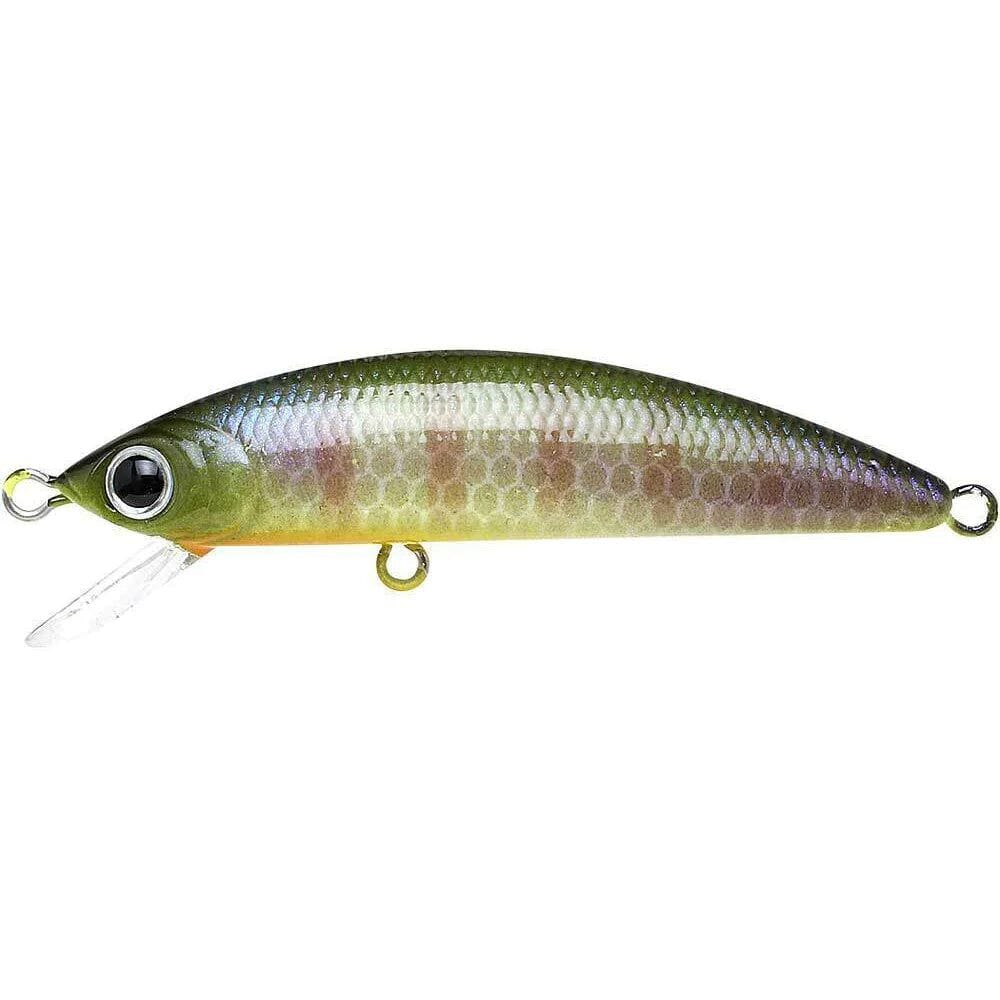 Lucky Craft Humpback Minnow 50 SP-BE Bluegill-