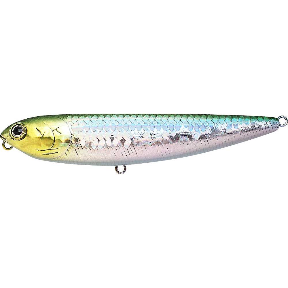 Lucky Craft Sammy 100-MS Japan Shad-