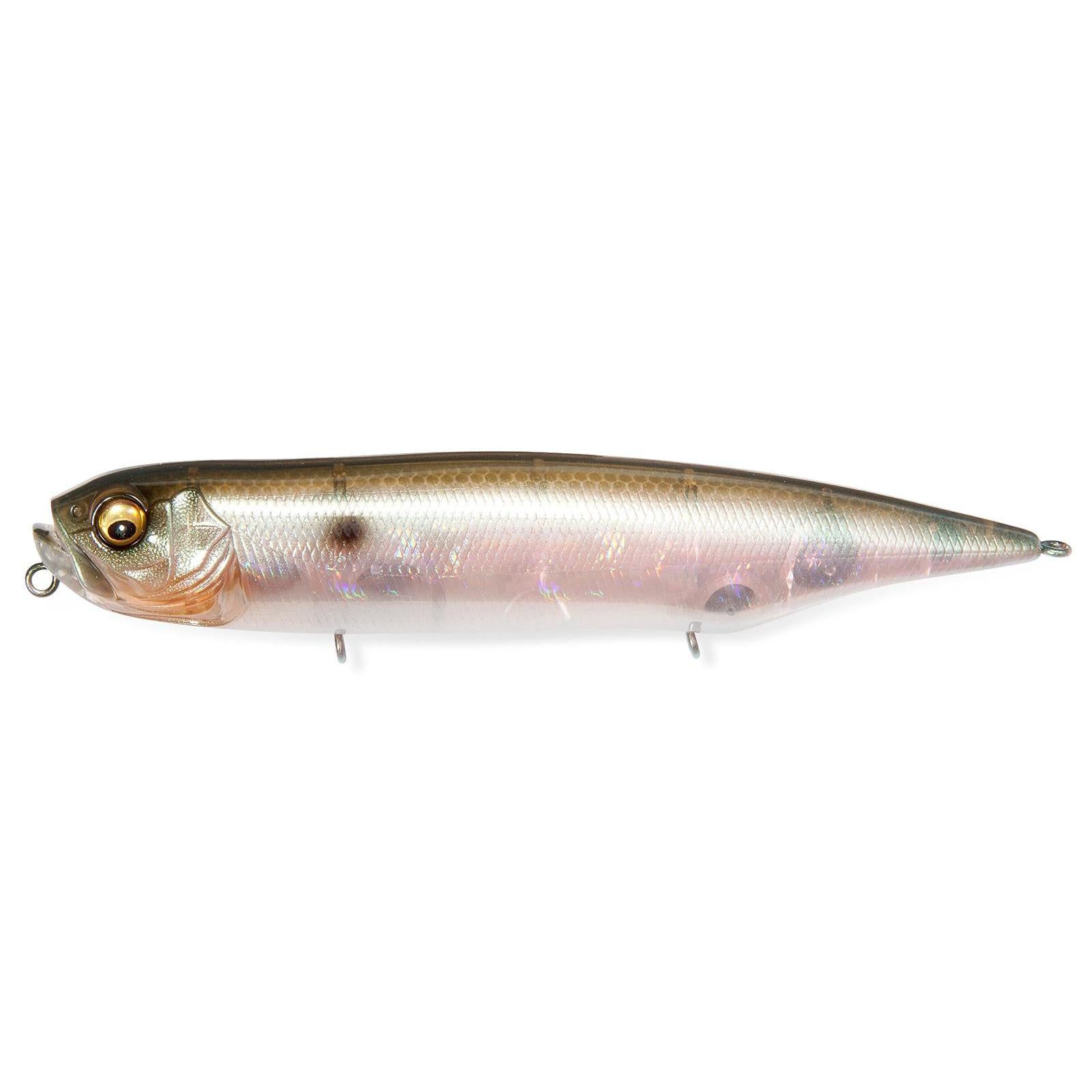 Megabass Dog-X Diamante Sonic Slide MB Gizzard