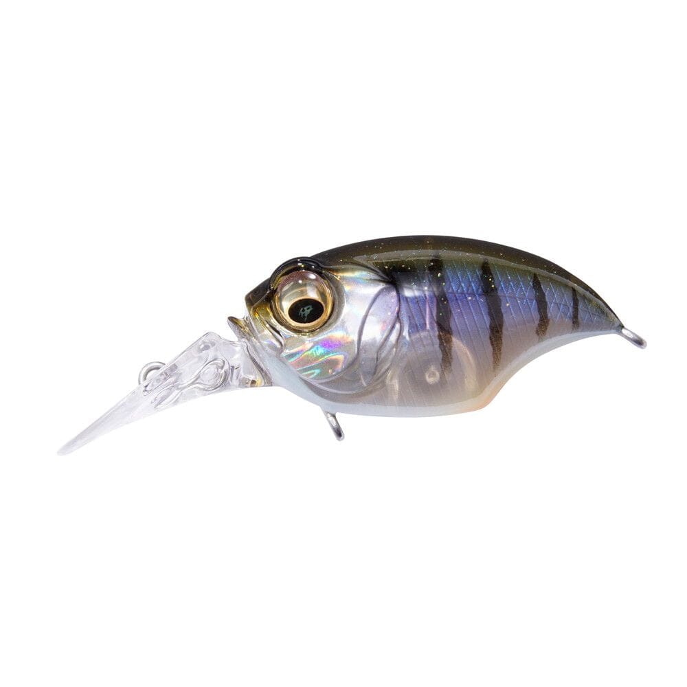 Megabass MR-X Griffin Mr-Gillkko-