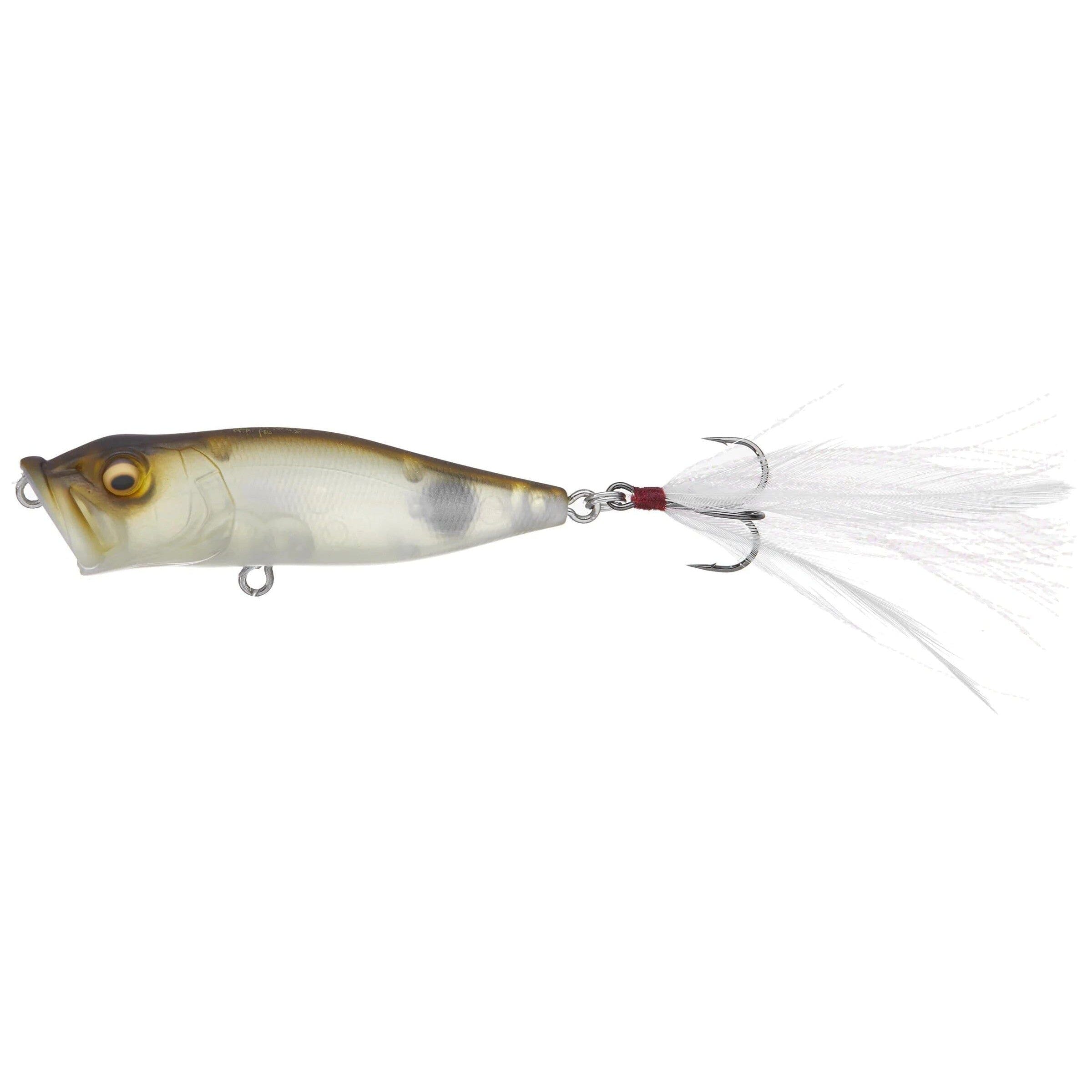 Megabass Pop X-Mat Shad-
