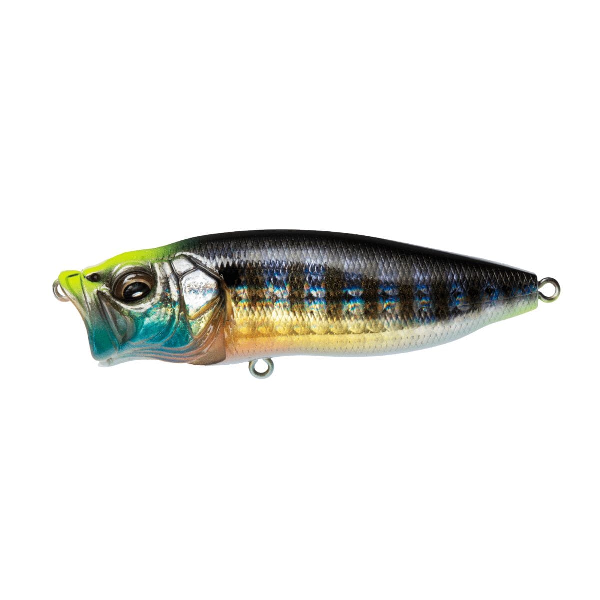 Megabass Popmax-Gg Wild Gill-