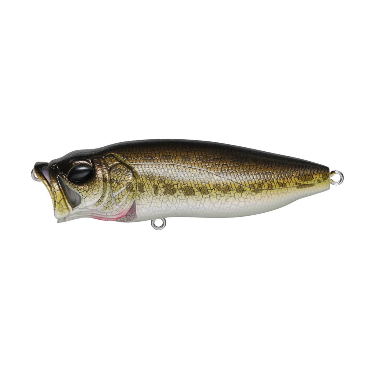Megabass Popmax Pagani Raigyo 