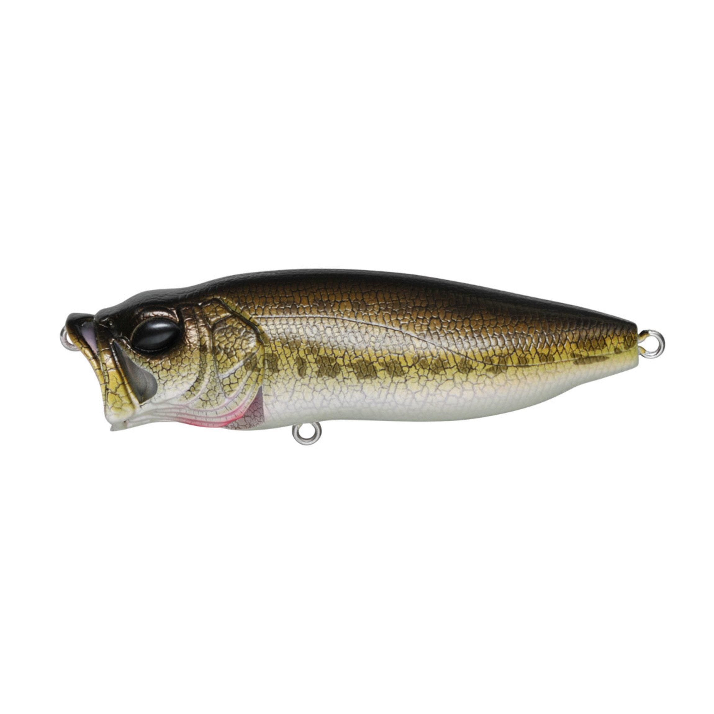 Megabass Popmax Pagani Raigyo 