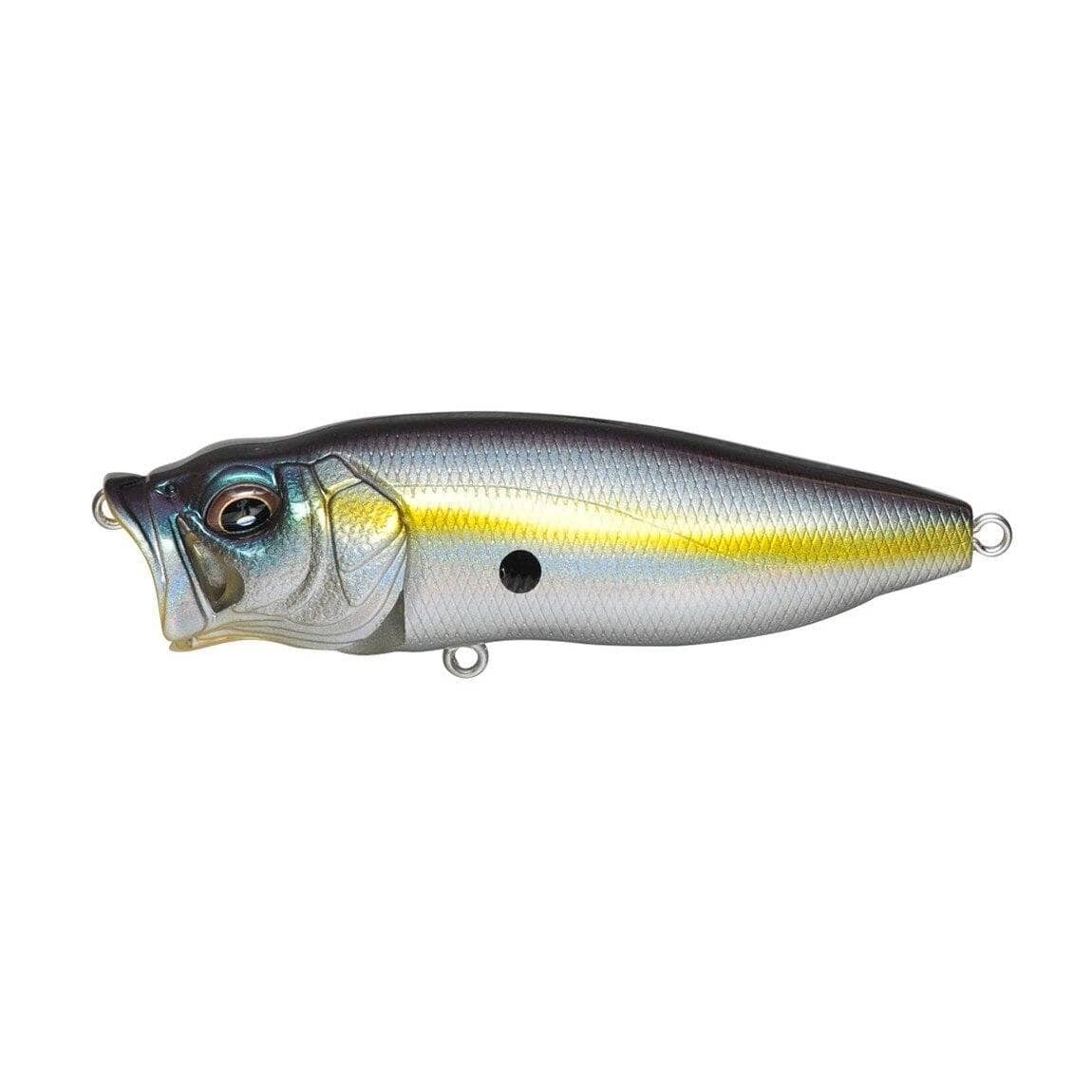 Megabass Popmax Sexy Shad 