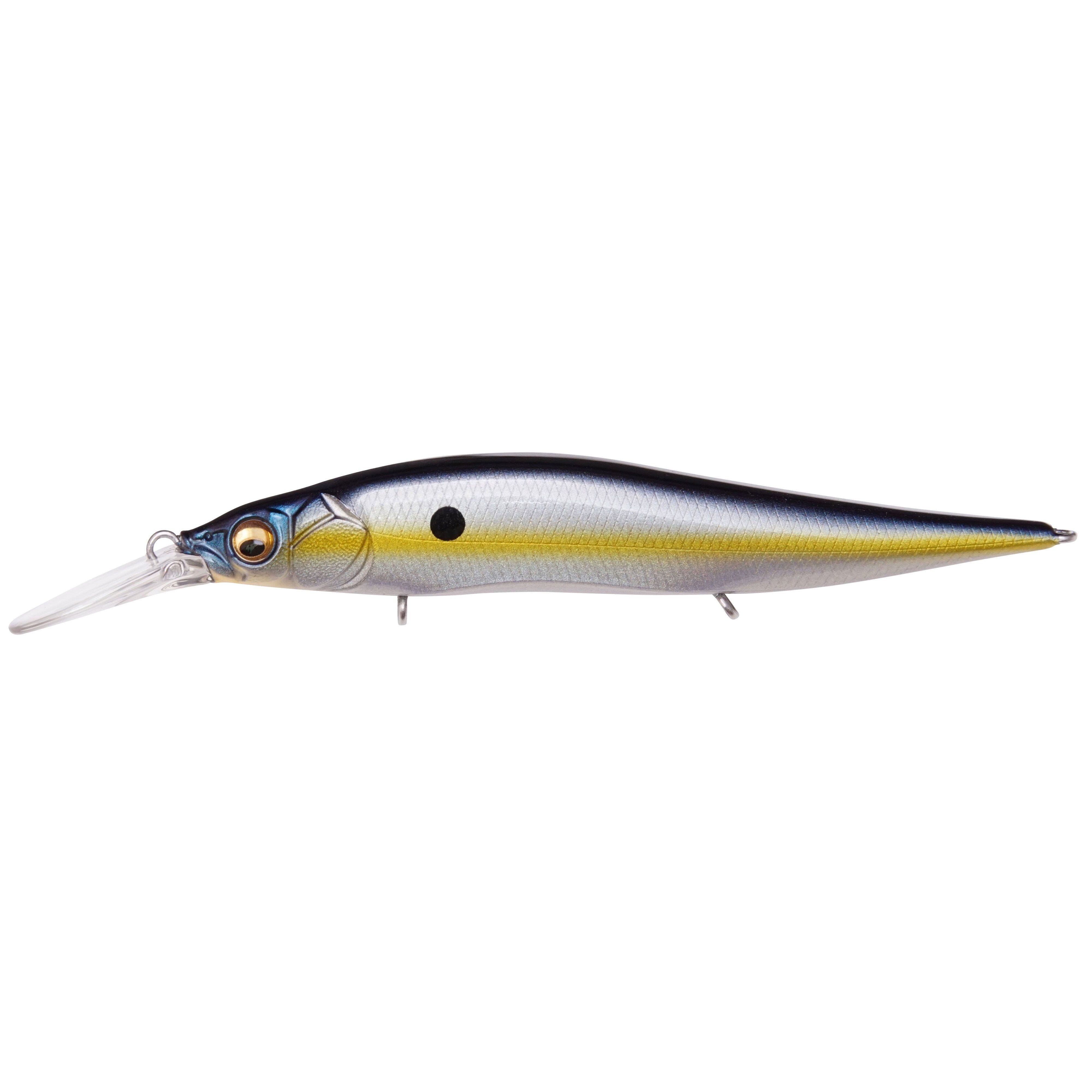 Megabass Vision 110+1 Junior-Megabass Sexy Shad-