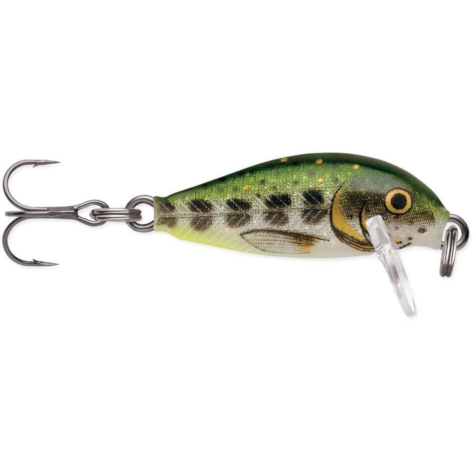 Rapala Countdown Naufrage Leurre CD05/AMN (5232 Rapala Countdown Naufrage Leurre CD05/AMN (5232