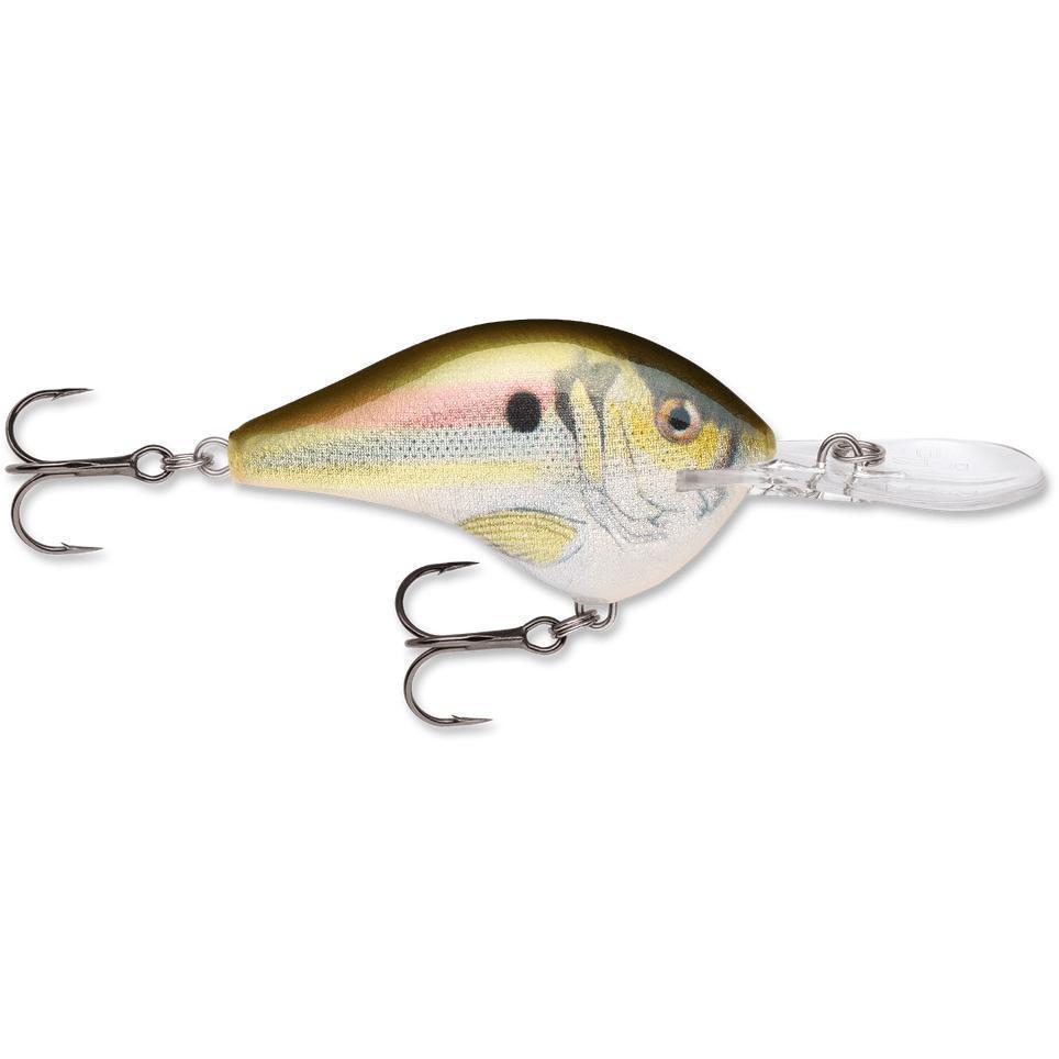 Rapala Dt 10 Crankbait-Live River Shad-