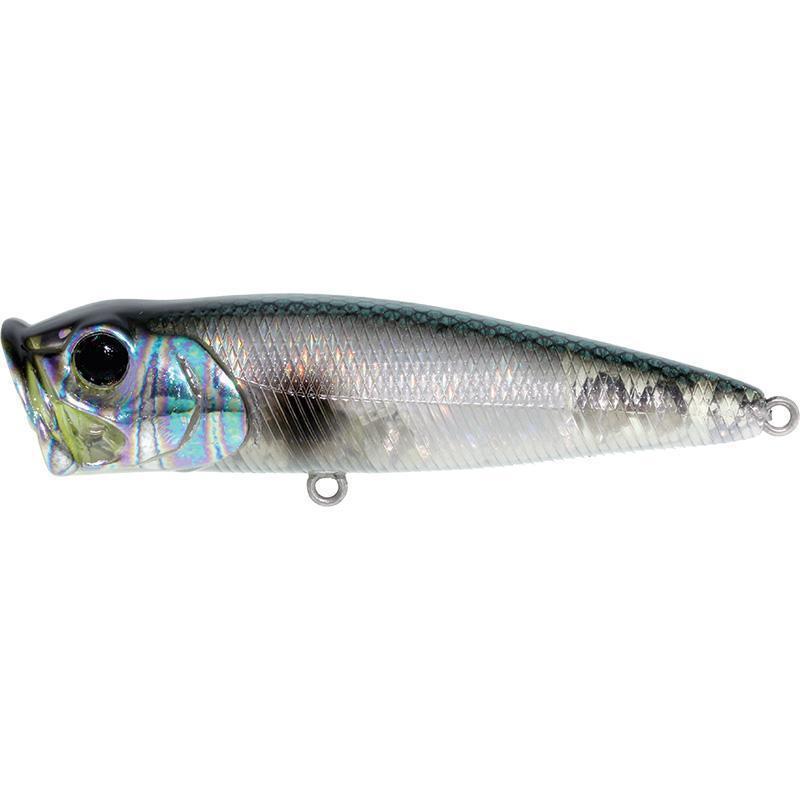 River 2 Sea Bubble Pop-Abalone Shad-65-
