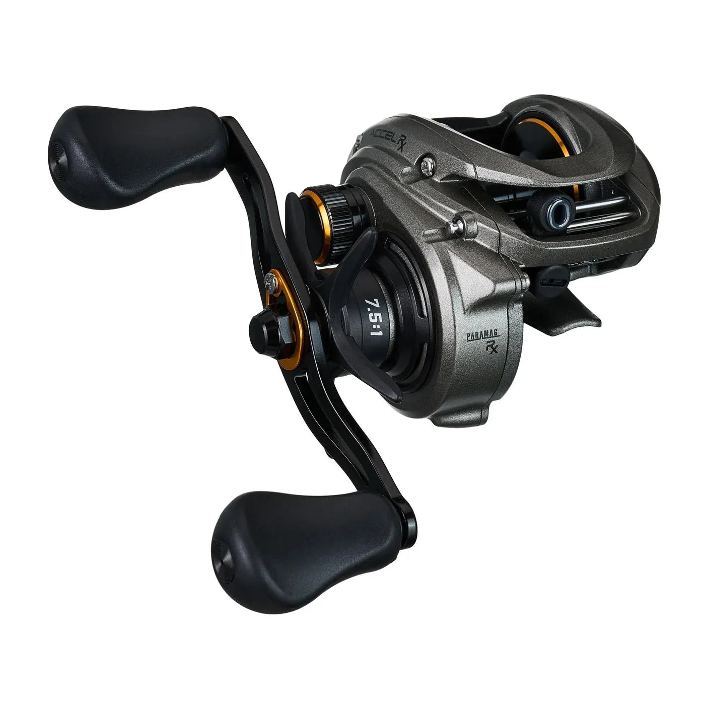 Lew's Accel RX Casting Reel