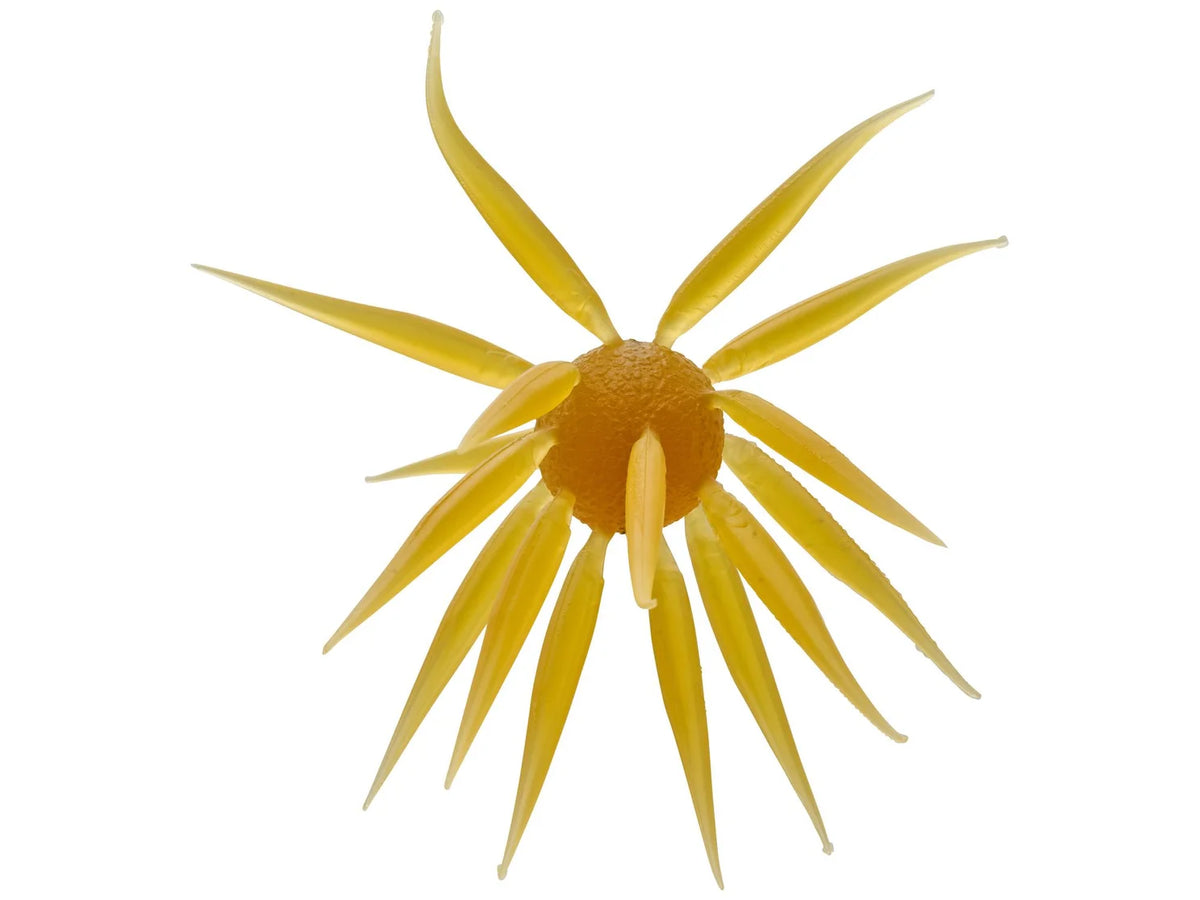 Hideup Coike Fish Medium