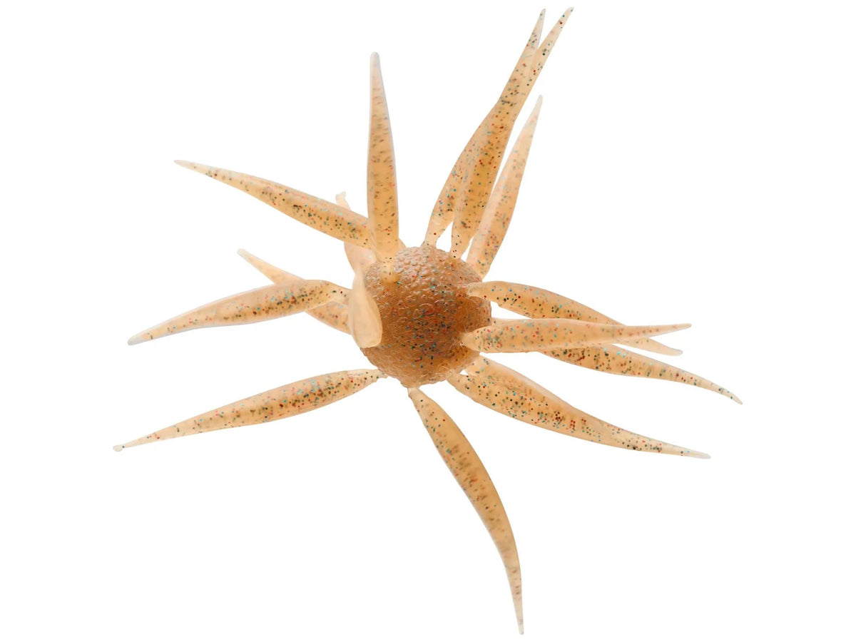 Hideup Coike Fish Medium