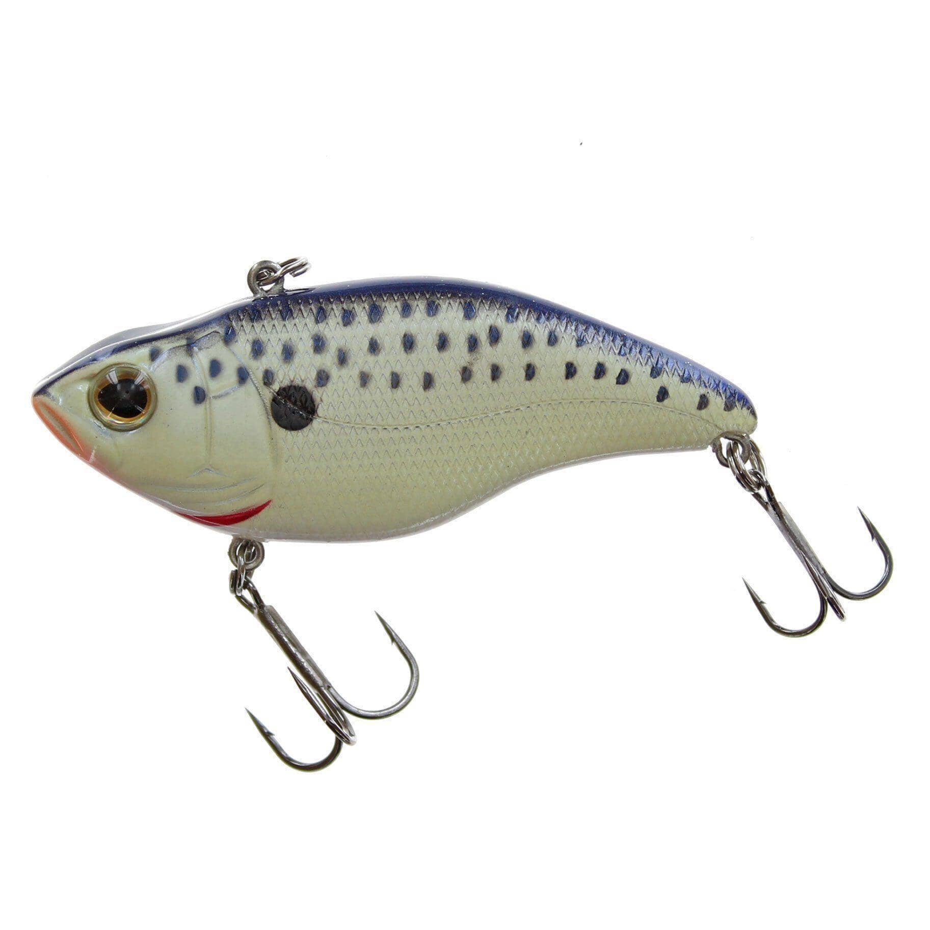 SPRO Aruku Shad 75-Cell Mate-