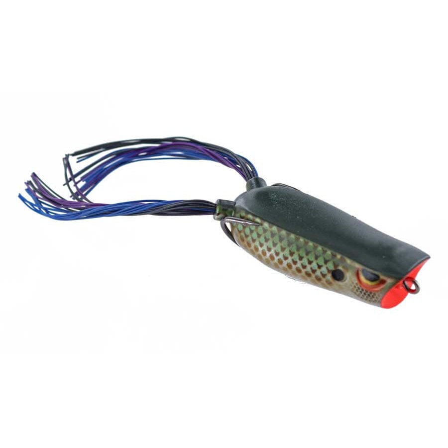 SPRO Bronzeye Pop Amazon-Killer Gill-