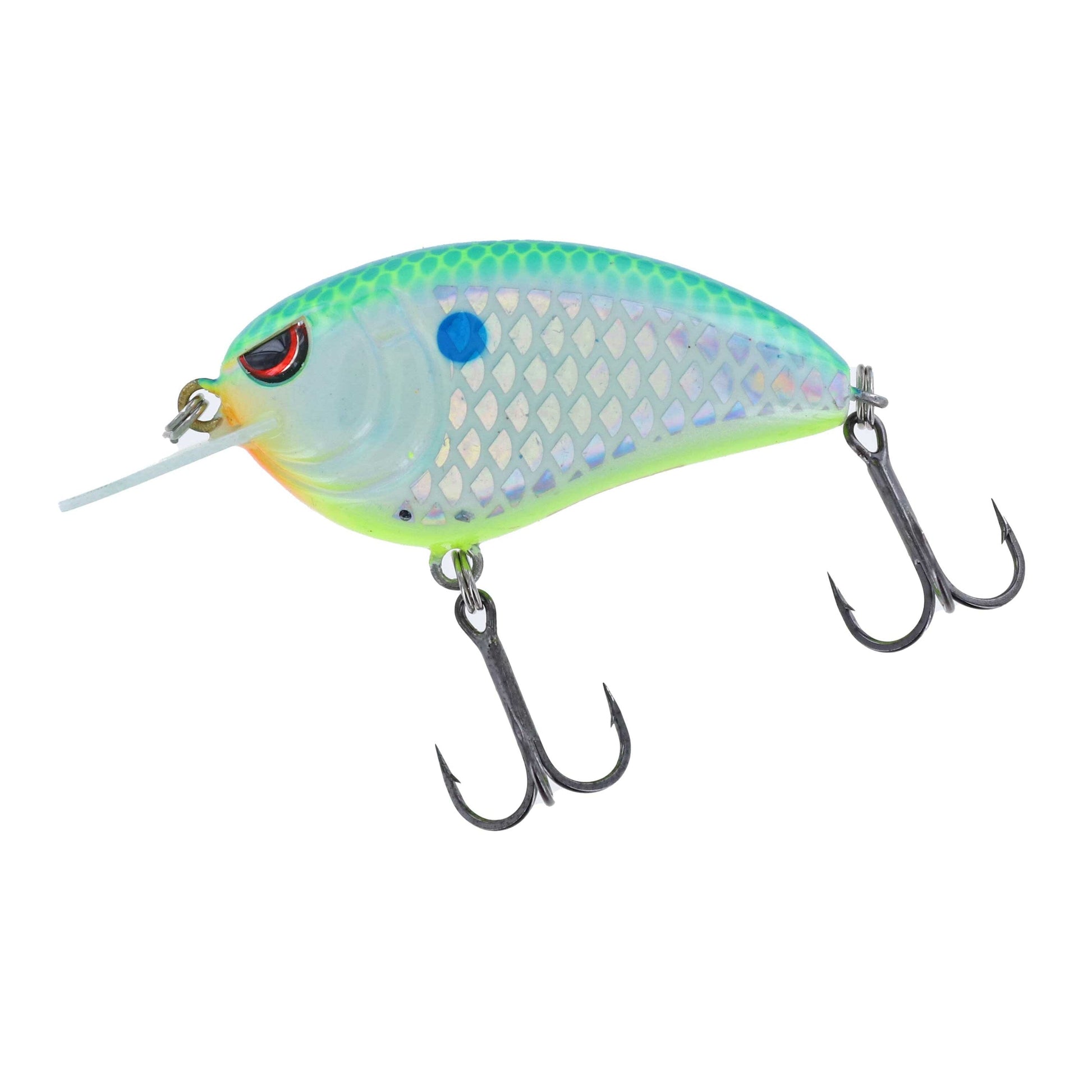 citrus colored fishing lures Custom DSL Super Model Pearl Backwater Rebel Raider - Citrus Shad