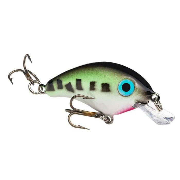 bass king lure Strike King Bitsy Minnow Baby Bass