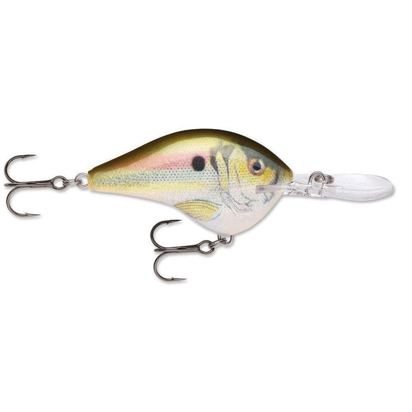 Rapala Dt 14 Live River Shad