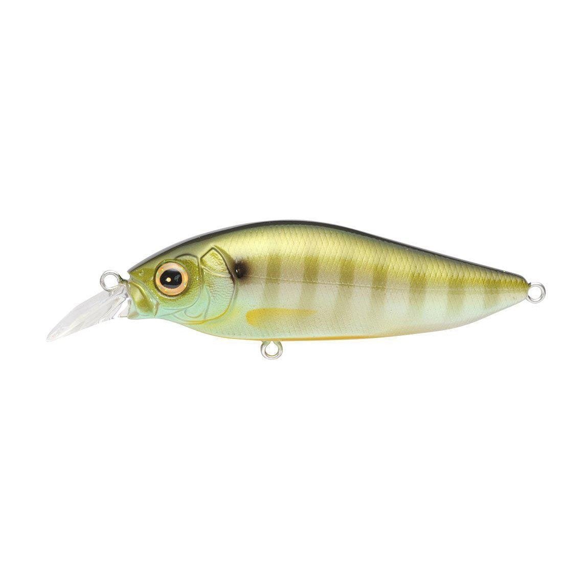 Megabass Flapslap-Gill-