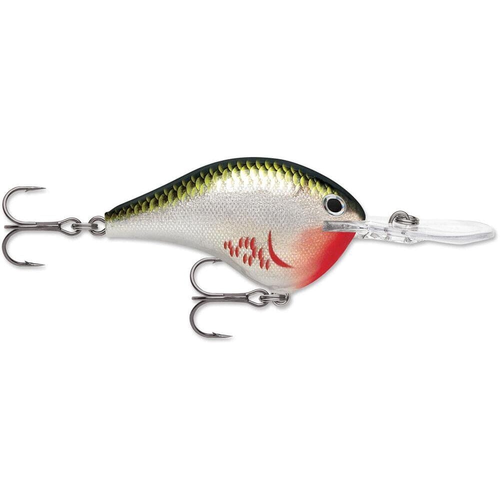 Rapala Dt 10 Crankbait-Bleeding Olive Shiner-