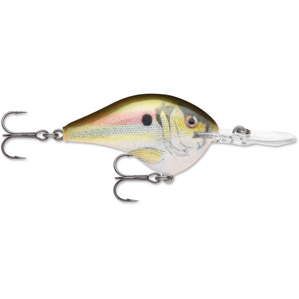 Rapala Dt 8 Crankbait Live River Shad 