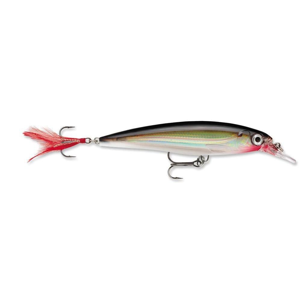 Rapala X-Rap Jerkbait Silver 10 